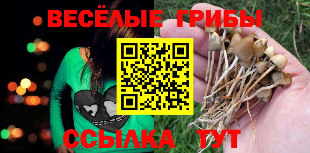 Псилоцибиновые грибы MAGIC MUSHROOMS Барабинск