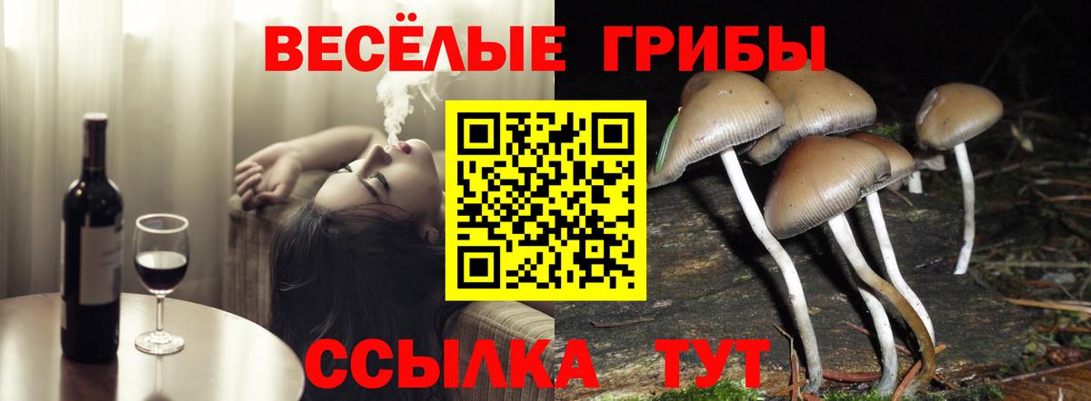 сколько стоит  Галлюциногенные грибы Magic Shrooms  Вход с VPN  Барабинск 